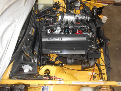Mcy.10.jpg