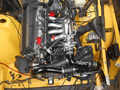 Mcy.11.jpg