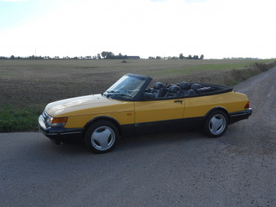 Mcy.13.jpg