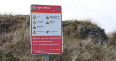 Vigs.4.jpg
