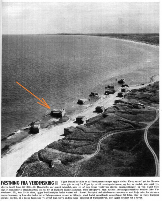Vigs.14-1970.jpg