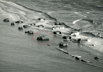Vigs.16-1985.jpg